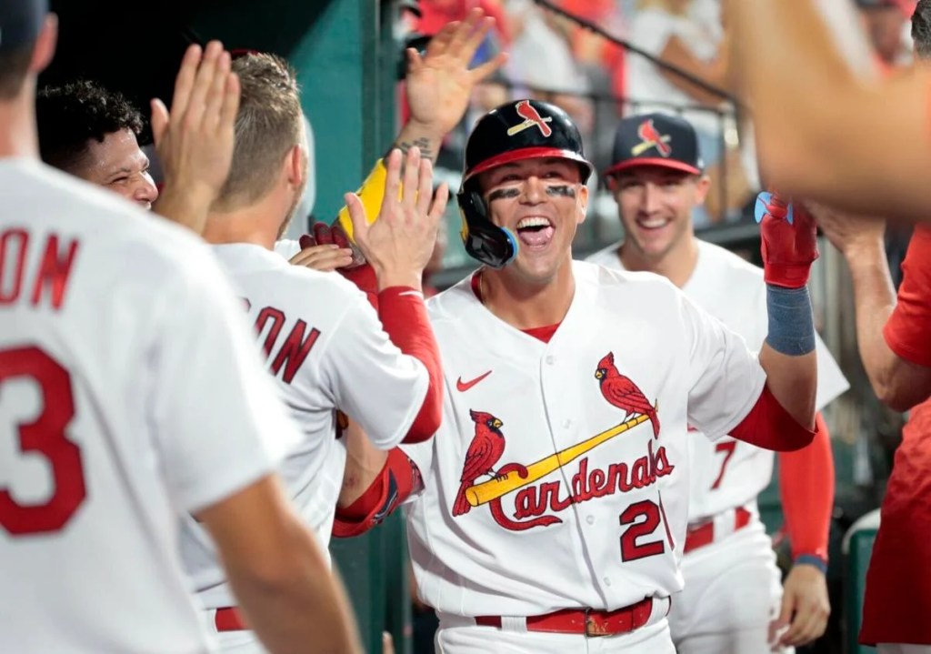 Oops, Probably Shouldn’t have Said&nbsp;That